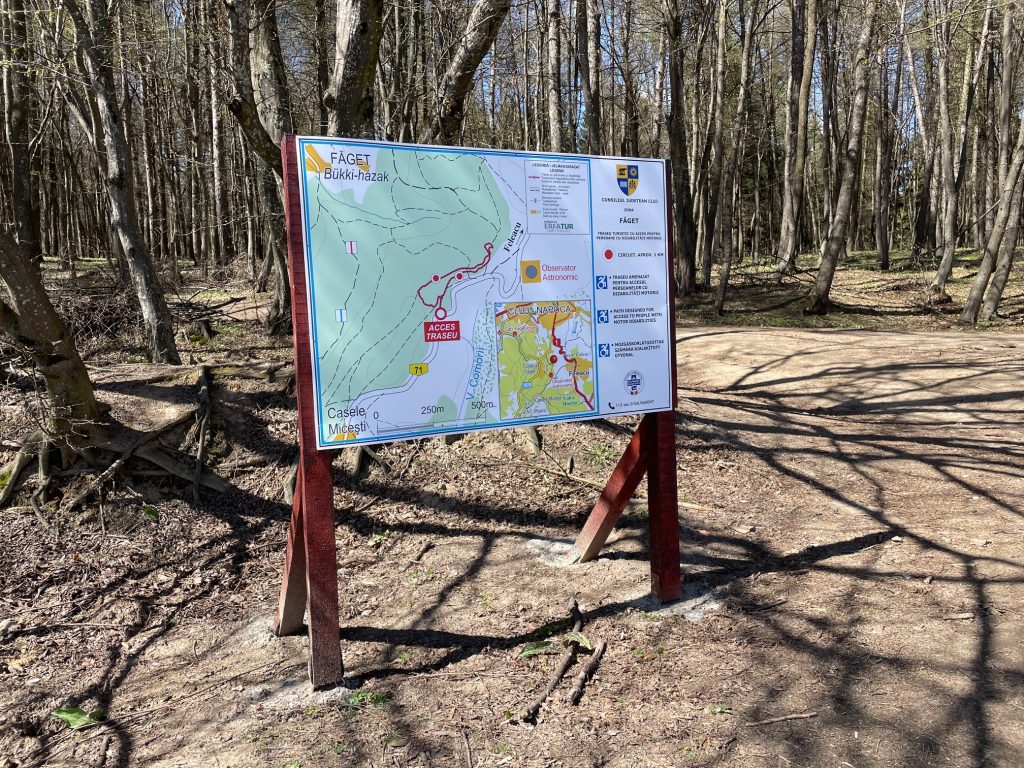 Clujenii cu dizabilitati de mobilitate se pot in sfarsit bucura de plimbari in Faget Primul traseu din regiune accesibil persoanelor in scaun cu rotile