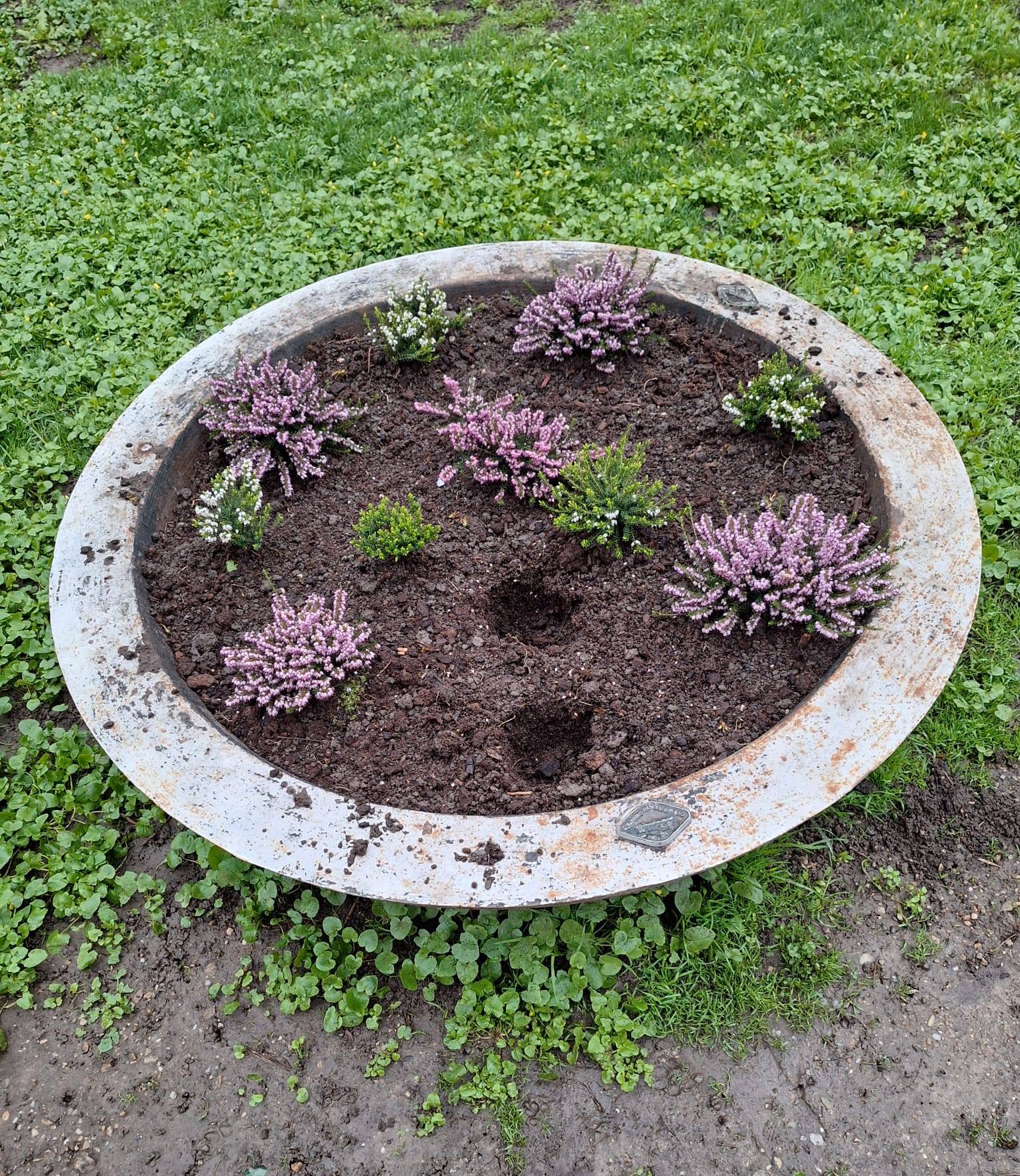 Florile din Parcul Chisimigil protejate de politistii locali Sute de flori furate in doar cateva zile
