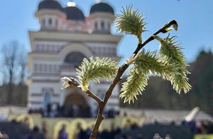 Mesaj de la IPJ Cluj inainte de Paste O secunda de atentie poate schimba totul Ce solicita IPJ clujenilor in acest interval