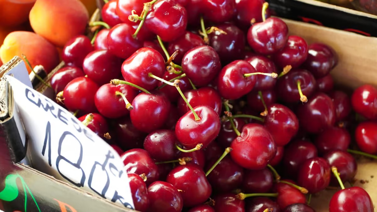 Timpul ratelor a sosit ciresele sunt disponibile si costa 180 de lei kilogramul