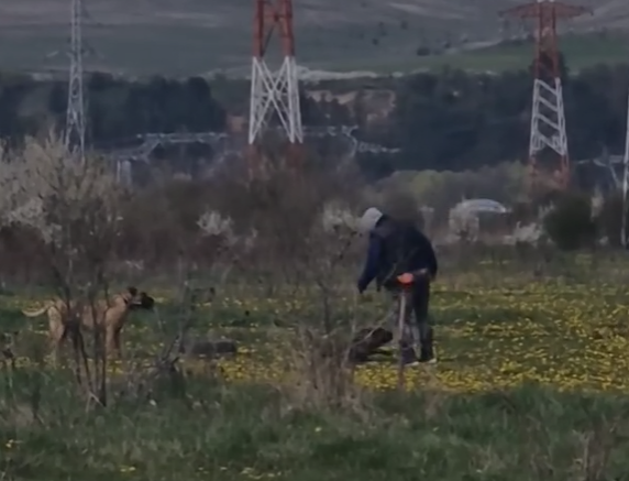 VIDEO Politica demareaza o ancheta dupa ce Stiri de Cluj a publicat un clip in care un dresor loveste repetat un catel Cercetarile sunt in curs de desfasurare
