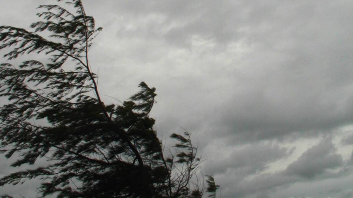 Vremea aduce distrugeri in Cluj Cod Galben de vant lapovita si ninsoare la munte Meteorologii anunta trei zile reci pentru toata regiunea