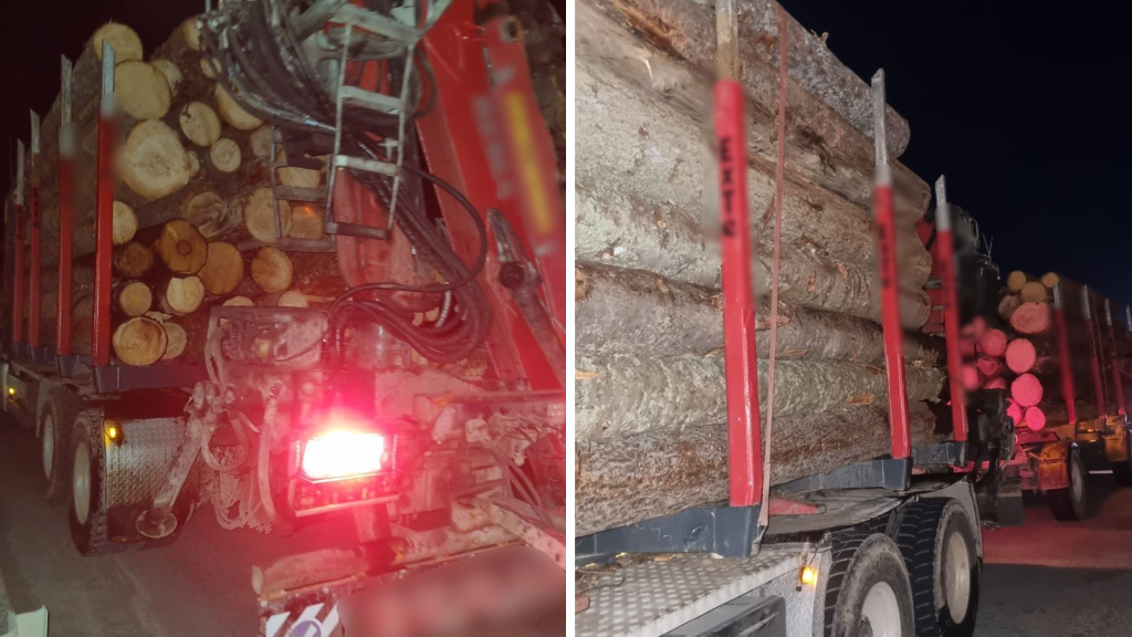 video cadou de paste pentru un sofer de tir la cluj amenda de 15000 de lei pentru depasirea limitei legale cu 15 tone de lemn in camion