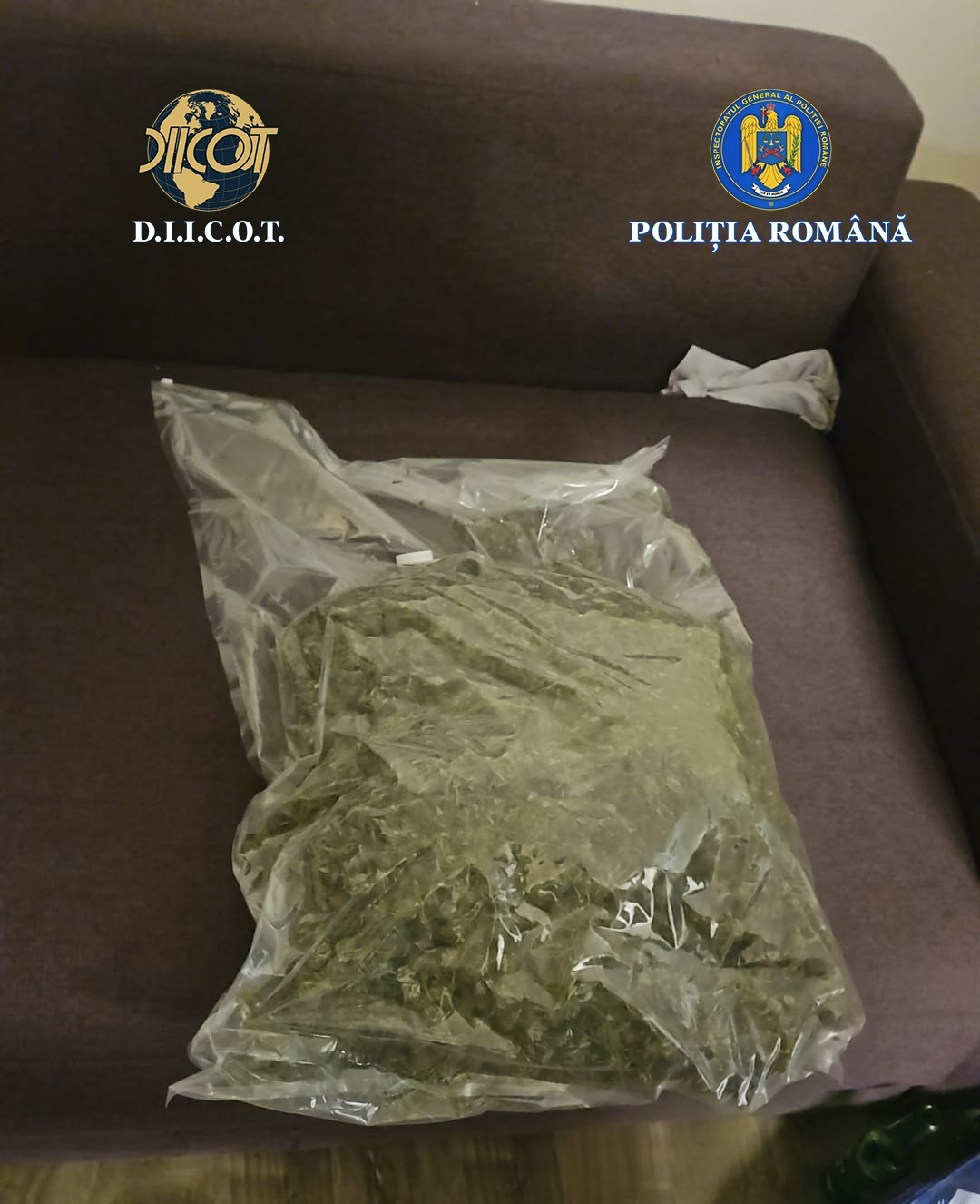 Aproape 3 kilograme de cannabis descoperite de anchetatori in Bistrita Nasaud Doi tineri retinuti preventiv