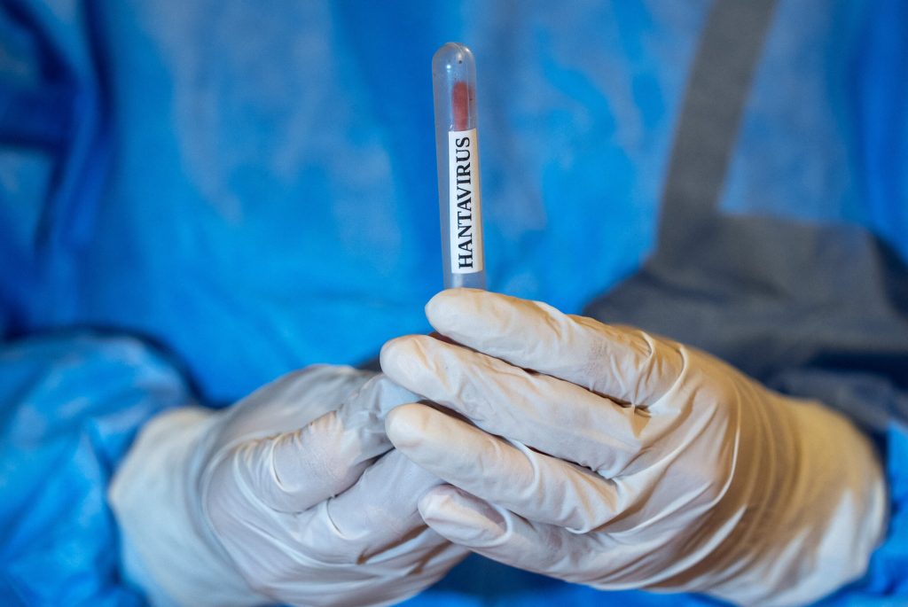 Presa din Ungaria preocupata de situatia din Romania Hantavirusul a ajuns la granita