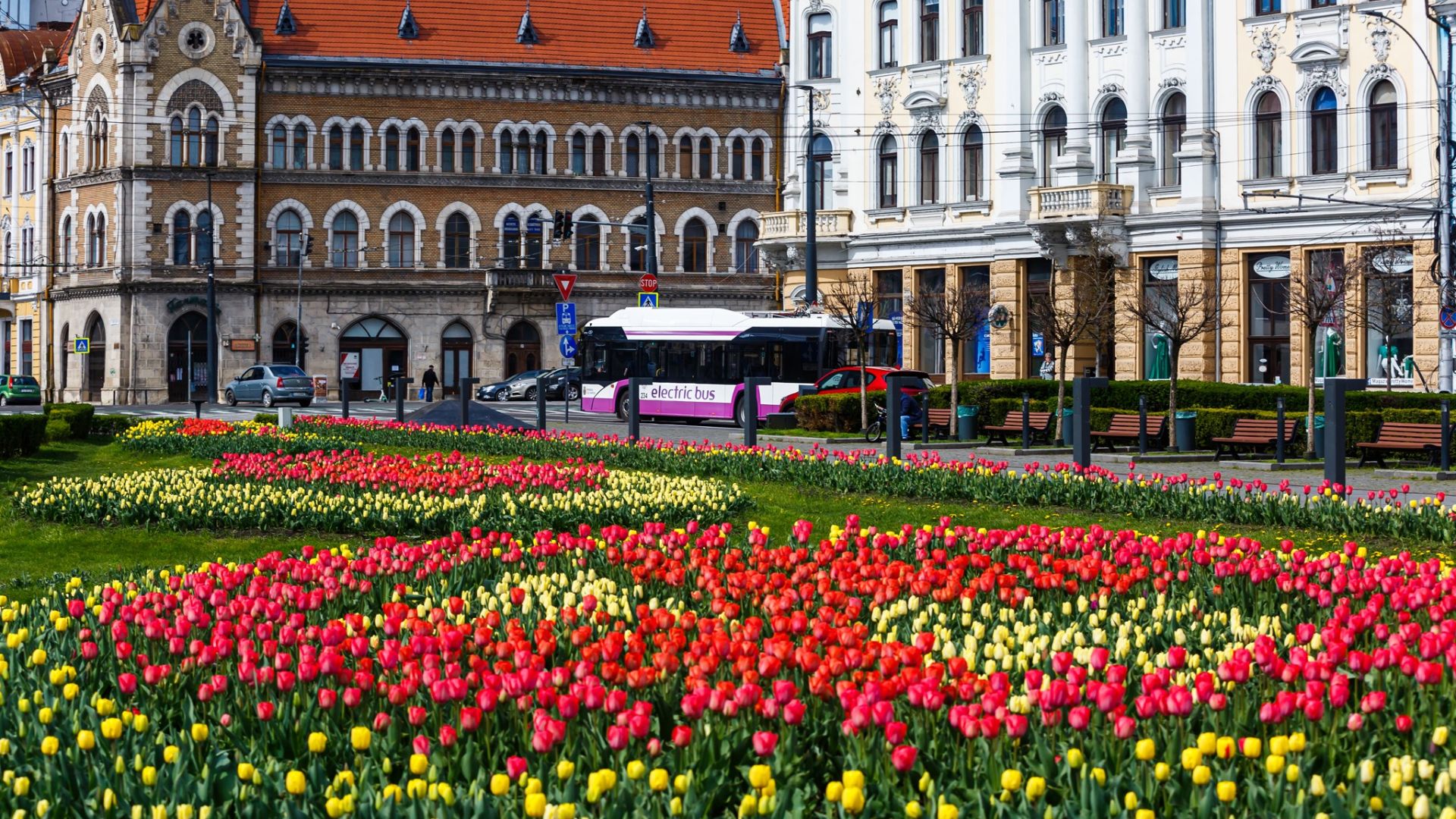 Transport special de 1 Mai la Cluj Program modificat curce catre Cheile Turzii si autobuze suplimentare pentru meciul de la Cluj Arena