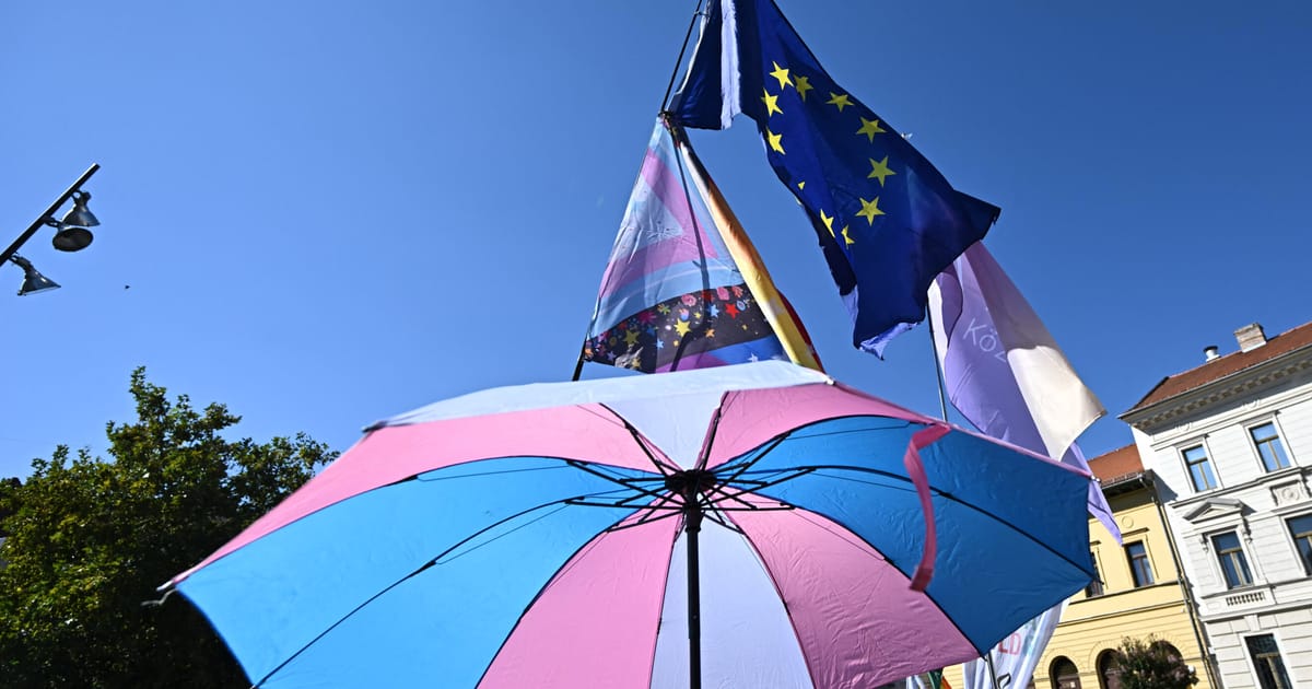 UE sustine ca interdictia terapiei de conversie pentru LGBTQ ar trebui sa fie decizia tarilor nu a Bruxelles ului
