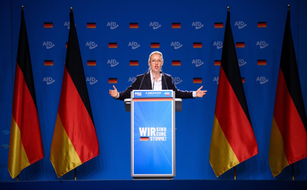 Un colaborator al lui Putin numește partidul de extremă dreapta AfD „speranța germanilor” 2 Un colaborator al lui Putin numete partidul de extrem dreapta AfD sperana germanilor