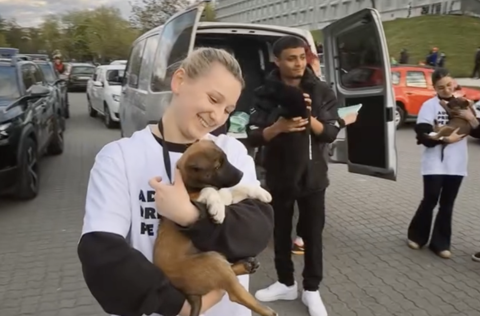 VIDEO Jucatorii de la U Cluj au pasit pe teren alaturi de caini de la adapost Primaria lanseaza o campanie inedita de adoptie in Cluj Napoca