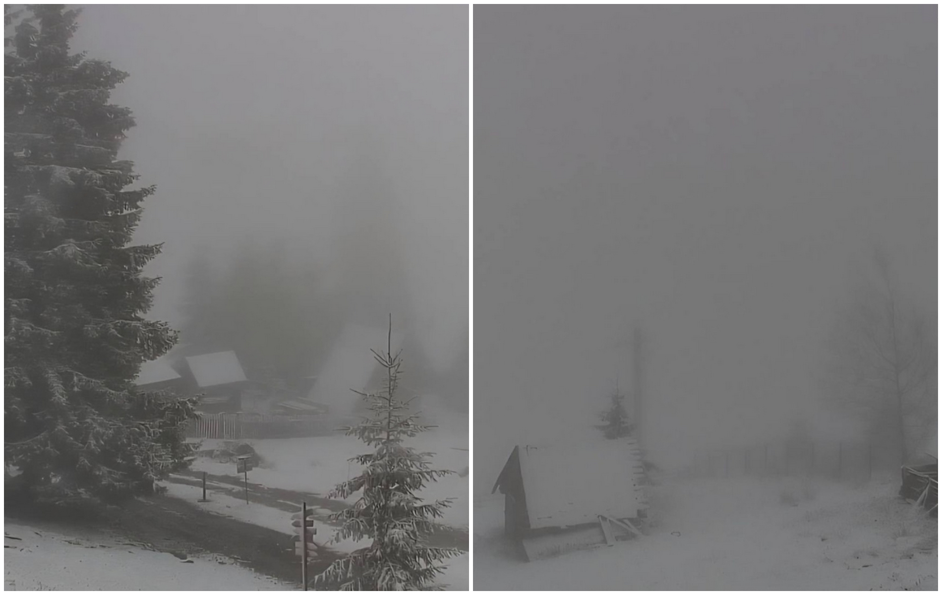 clujenii se confrunta cu ninsoare in plina luna mai hai afara la zapada hai va fi ultima pe sezonul acesta imagini deosebite