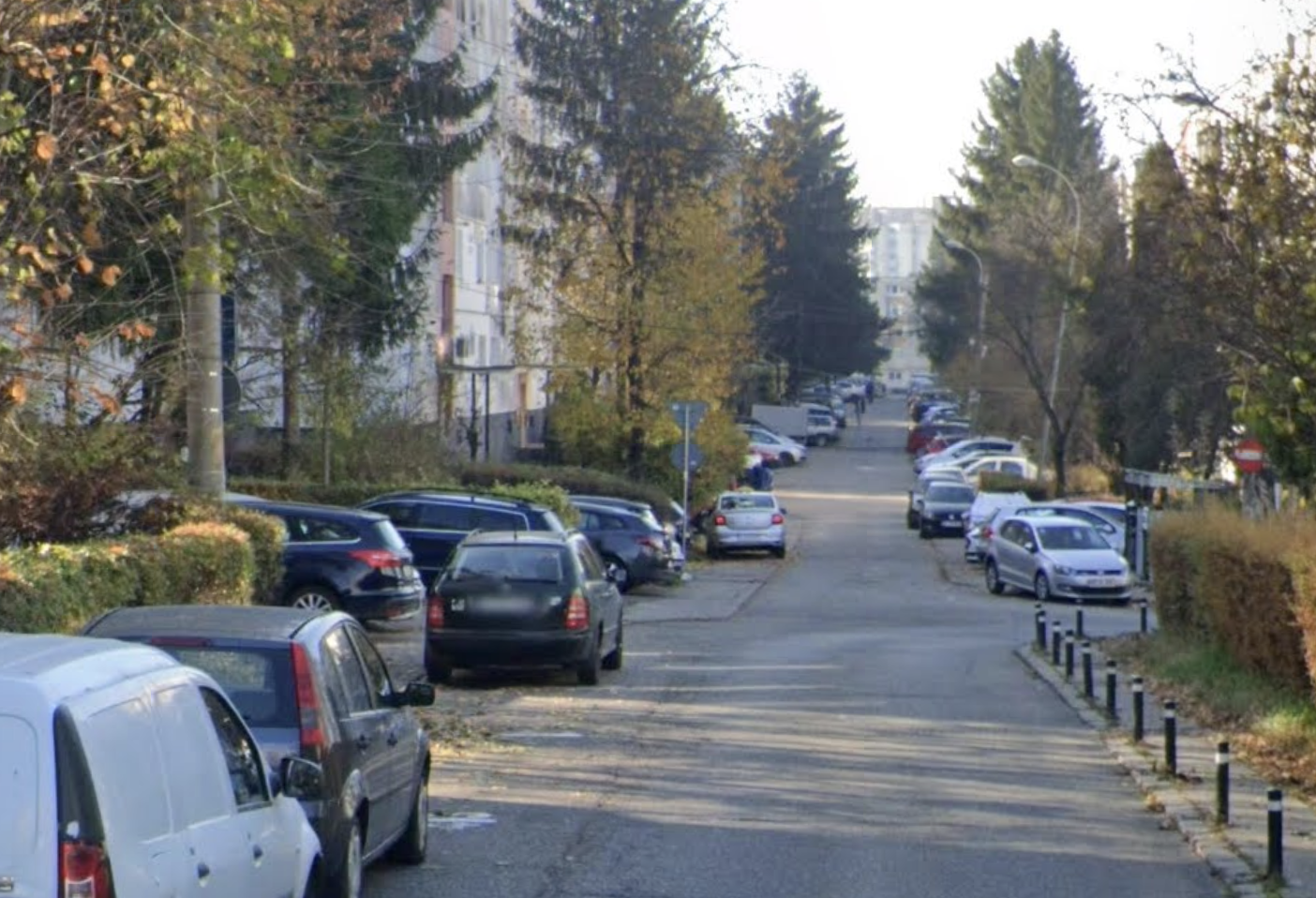 Alarm ciudat pentru clujeni Un cocos le perturba somnul in fiecare dimineata de la ora 5 iar vecinul refuza orice dialog