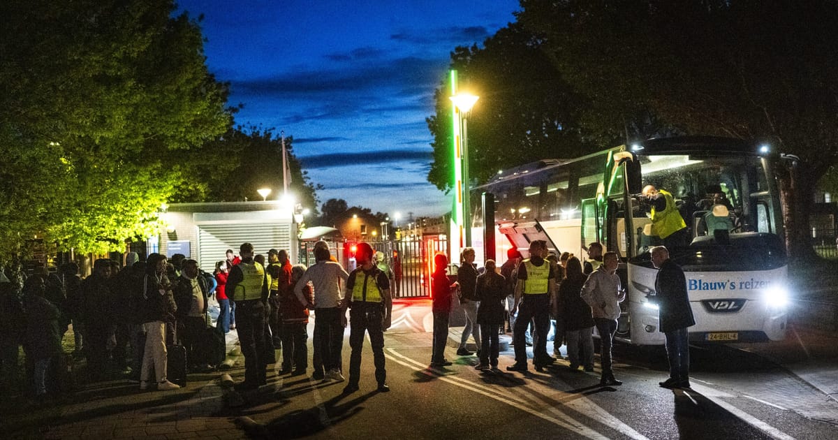 Negociatorii UE au ajuns la un acord privind o noua legislatie pentru returnarea migrantilor