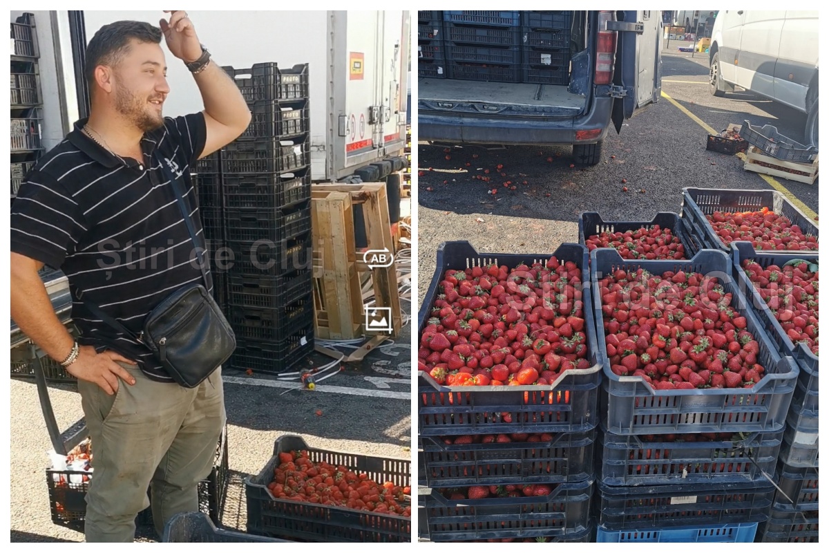 VIDEO. Unde poți găsi căpșuni de Satu Mare la Cluj la cel mai bun preț: 9 lei/kg: Se apropie sfârșitul sezonului, nu ratați ultimele căpșuni proaspete! 2 VIDEO Unde poti gasi capuni de Satu Mare la Cluj la cel mai bun pre 9 lei kg Se apropie sfritul sezonului nu ratai ultimele capuni proaspete