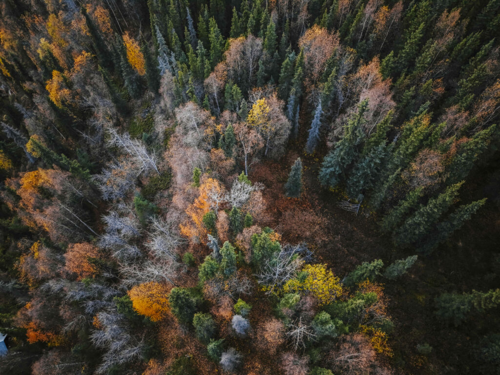 Vacante inedite dincolo de rutele traditionale De la Alaska la Tara de Foc Eturia introduce o noua serie de circuite de aventura in parteneriat cu exploratorul Radu Paltineanu
