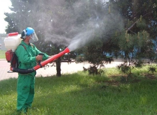 Vesti imbucuratoare pentru locuitorii din Apahida Primaria va realiza stropiri impotriva insectelor timp de trei nopti consecutiv in Dezmir Sannicoara si alte sase localitati