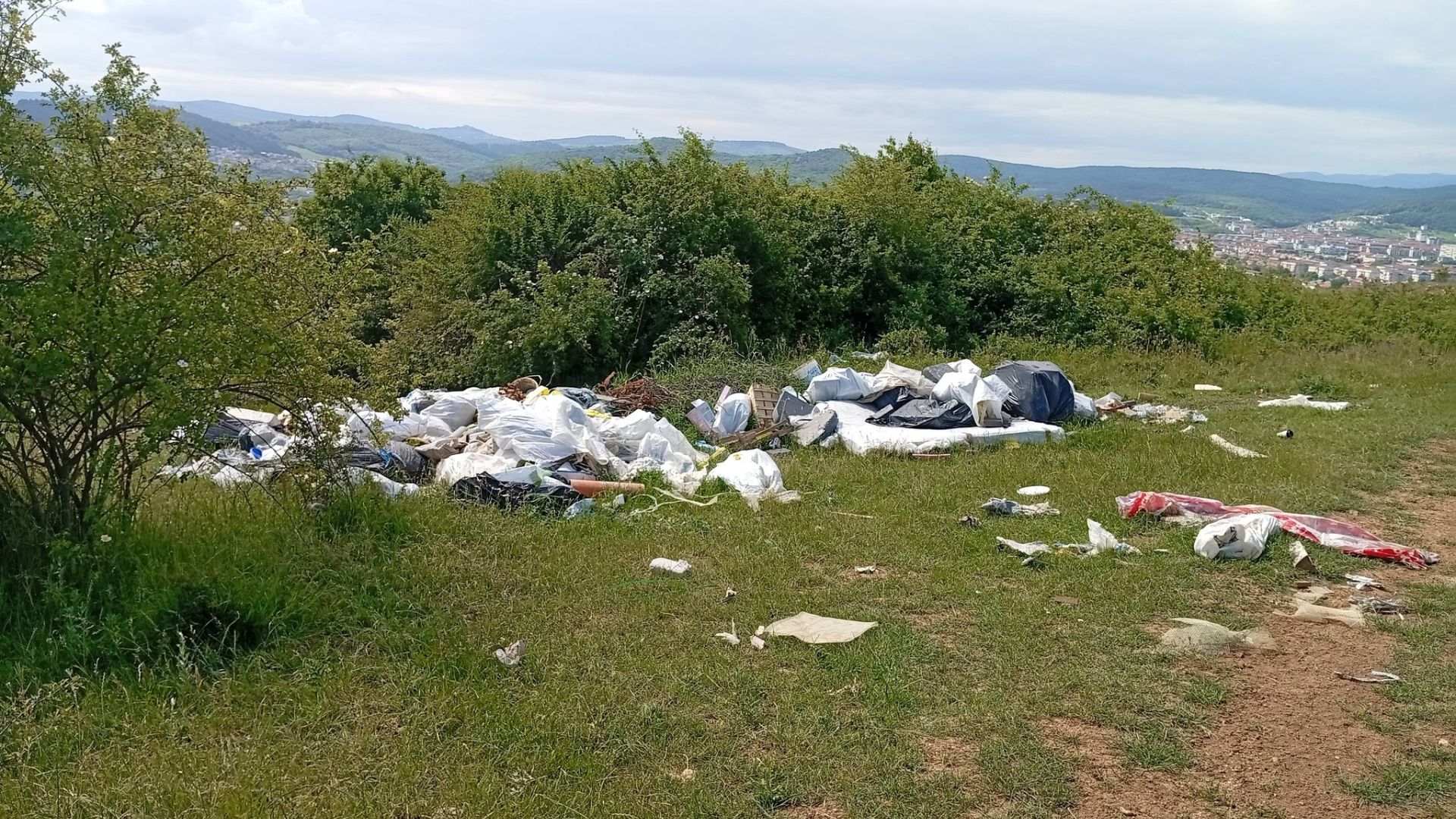 mizerie de neconceput langa cluj napoca padure transformata in rampa de gunoi in floresti chiar nimeni nu observa acesti oameni