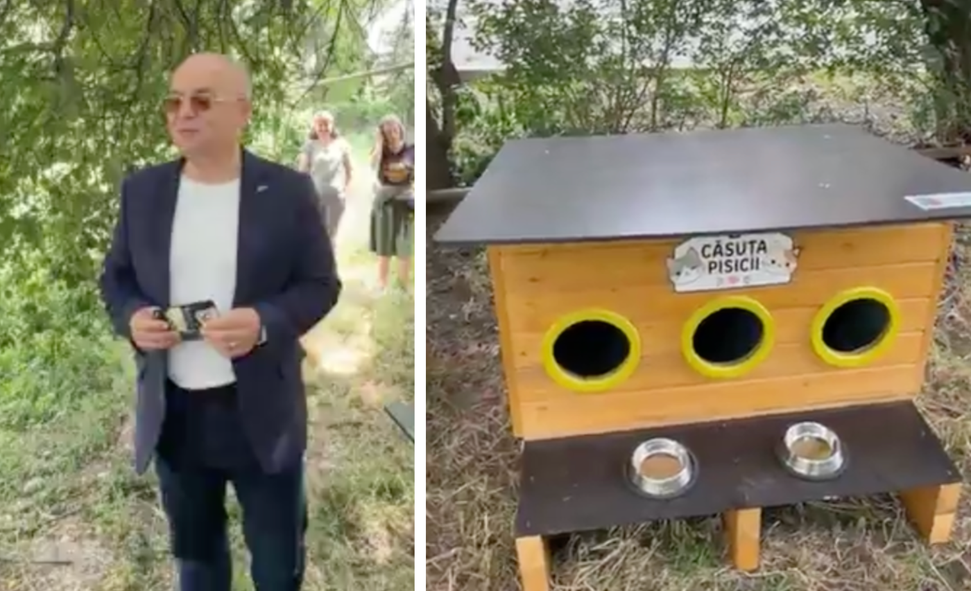 video primele adaposturi pentru pisicile comunitare din cluj installate de boc primaria ofera gratuit 80 de casute asociatiilor de proprietari