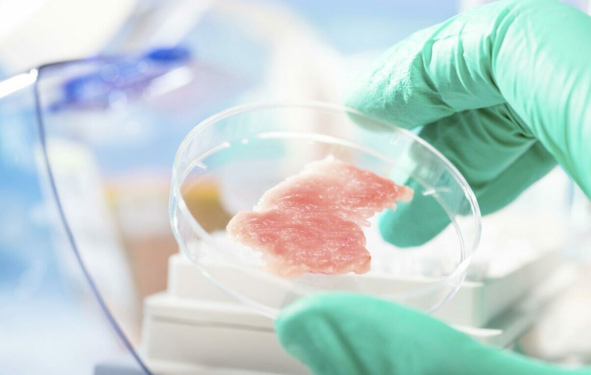 Carnea cultivata in laborator pe lista neagra Parlamentarii discuta despre interzicerea acesteia in Romania