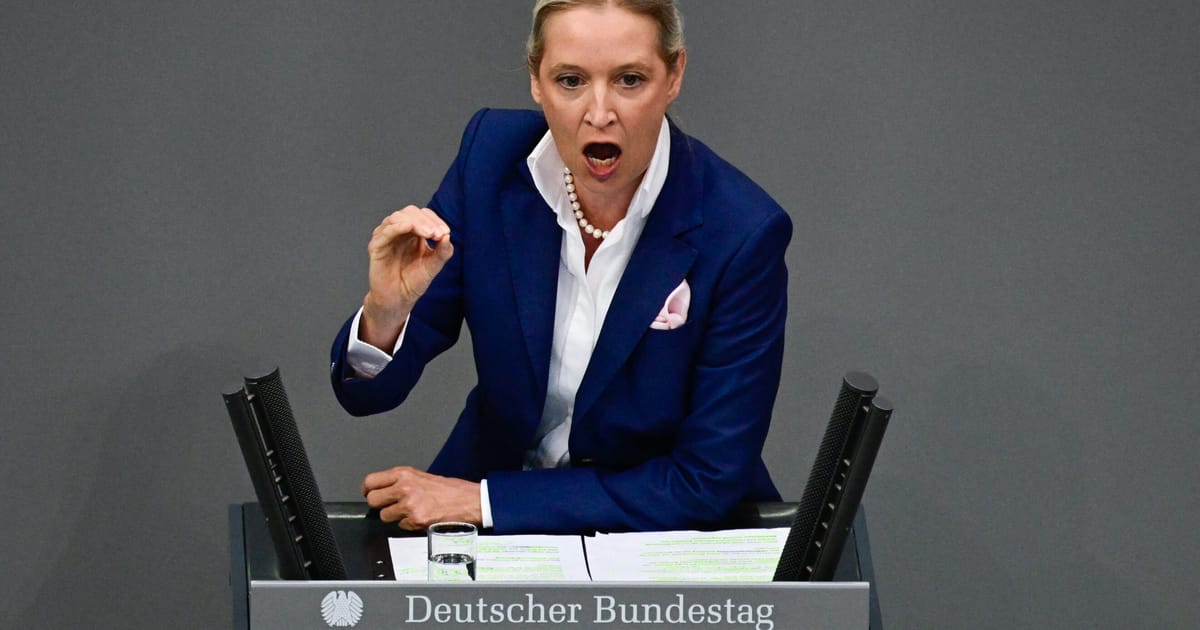 Mii de protestatari în Germania se adună împotriva extremei drepte AfD 2 Mii de protestatari in Germania se aduna impotriva extremei drepte AfD