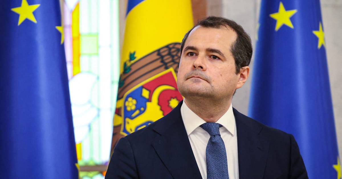 Moldova propune un om de afaceri ca nou prim ministru