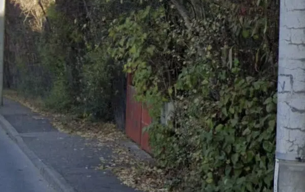 Probleme semnalate pe o stradă din Cluj-Napoca! Vegetația a acoperit trotuarul, iar cetățenii cer intervenția autorităților. 2 Probleme semnalate pe o strada din Cluj Napoca Vegetatia a acoperit trotuarul iar cetatenii cer interventia autoritatiilor