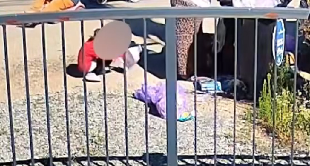VIDEO Imagini emotionante O familie din Cluj impreuna cu copii colinda din poarta in poarta in cautare de materiale reciclabile O realitate ce nu ar trebui sa