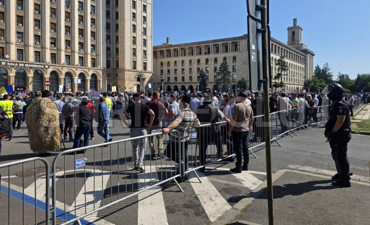 VIDEO. Protest masiv al agricultorilor și crescătorilor de ovine! Zeci de clujeni s-au alăturat în Piața Victoriei: Cer reluarea exporturilor suspendate. 3 VIDEO Protest masiv al agricultorilor si crestatorilor de ovine Zeci de clujeni s au alaturat in Piata Victoriei Cer reluarea exporturilor suspendate