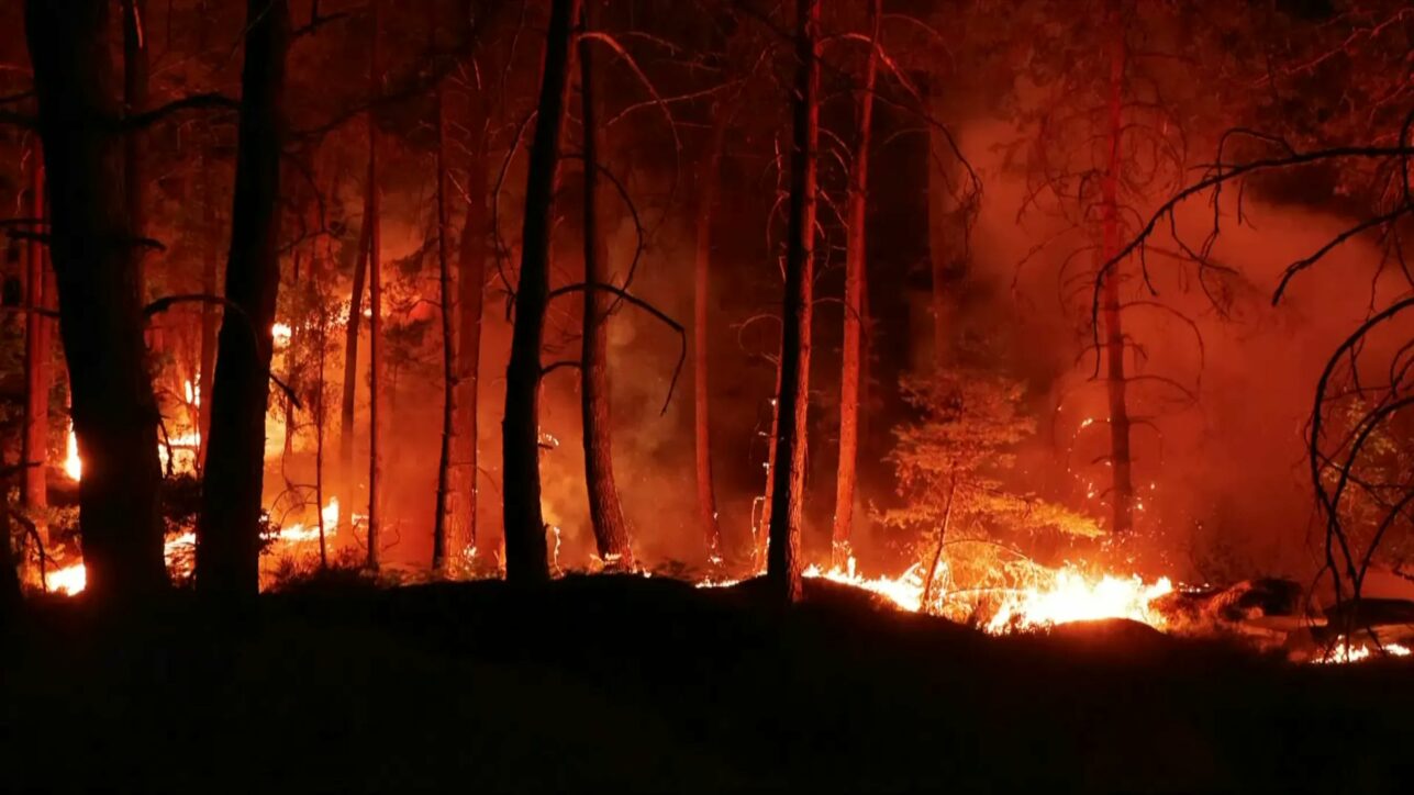 canicula amplifica incendiul din apropierea parisului franta lanseaza o interventie in premiera