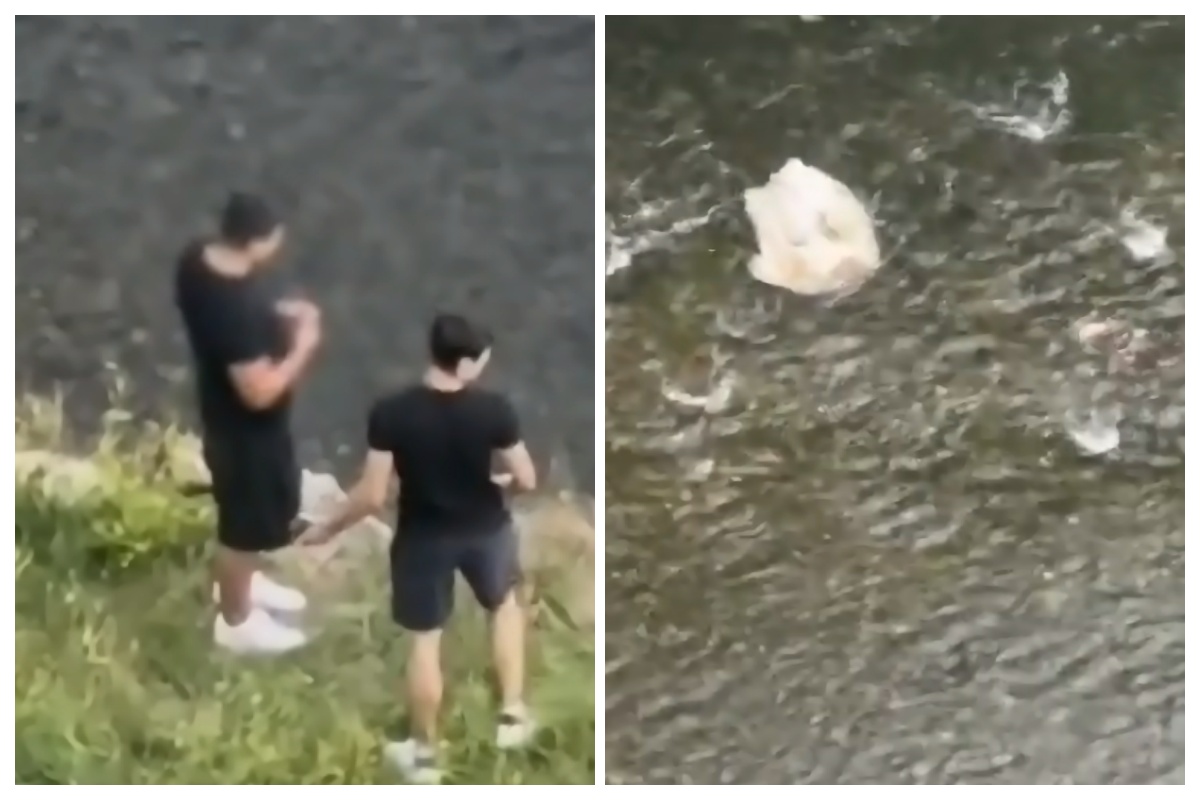 VIDEO. Cruzime fără motiv la Cluj! Doi tineri filmați aruncând cu pietre după rațe: „Au lovit una și nu a mai putut înota. Probabil a murit.” 3 video cruzime fara motiv la cluj doi tineri filmati aruncand cu pietre dupa rate au lovit una si nu a mai putut inota probabil a murit