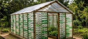 2000 de sticle de plastic transformate intr o sera proiectul inedit al unei scoli
