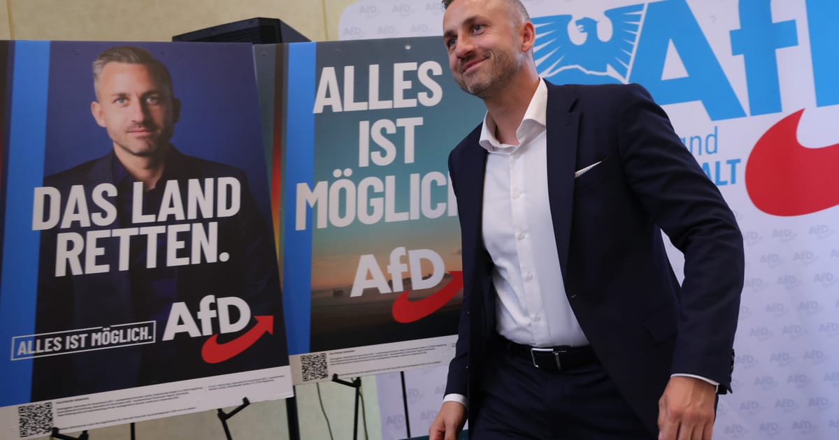 Establishmentul din Germania are un plan pentru a combate extrema dreapta Aproape