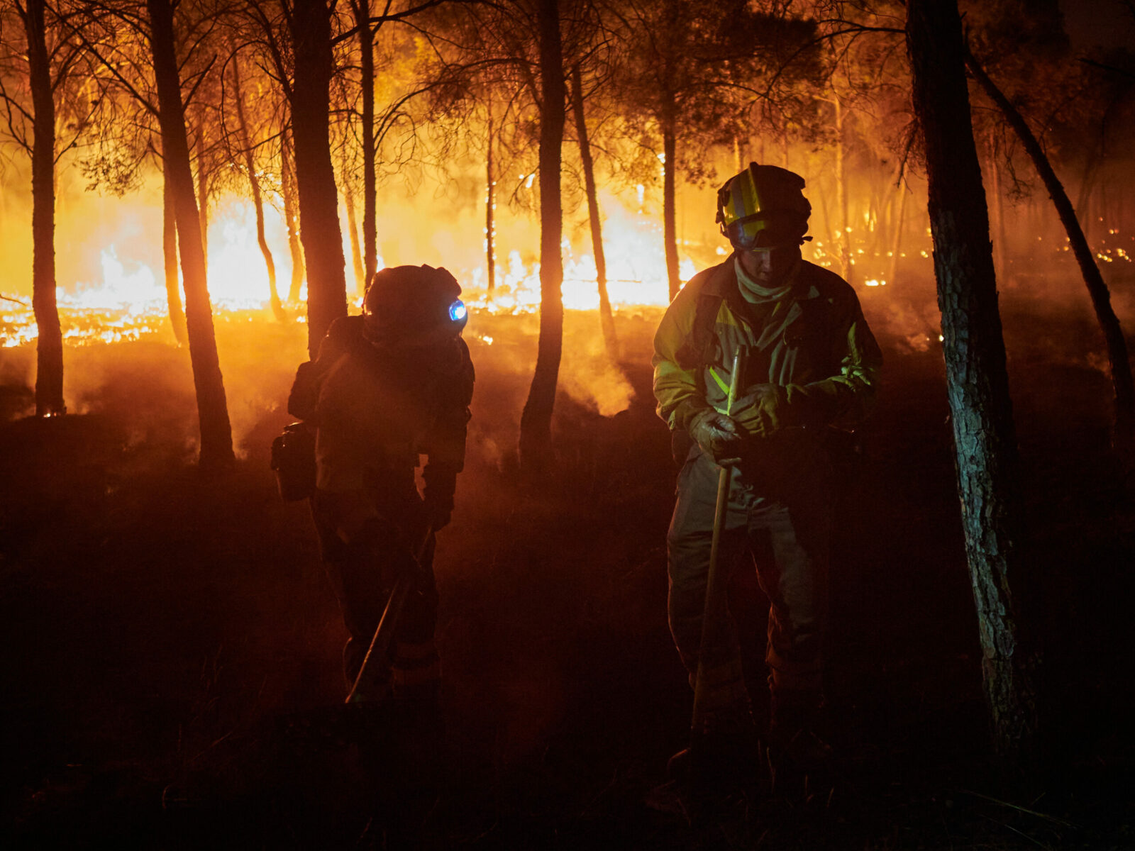 Europa, față în față cu un nou risc: Incendiile forestiere ar putea crește cu 39% până la sfârșitul secolului, chiar și în cel mai optimist scenariu climatic. 2 Europa fata in fata cu un nou risc incendiile forestiere ar putea creste cu 39 pana la sfarsitul secolului chiar si in cel mai optimist scenariu climatic