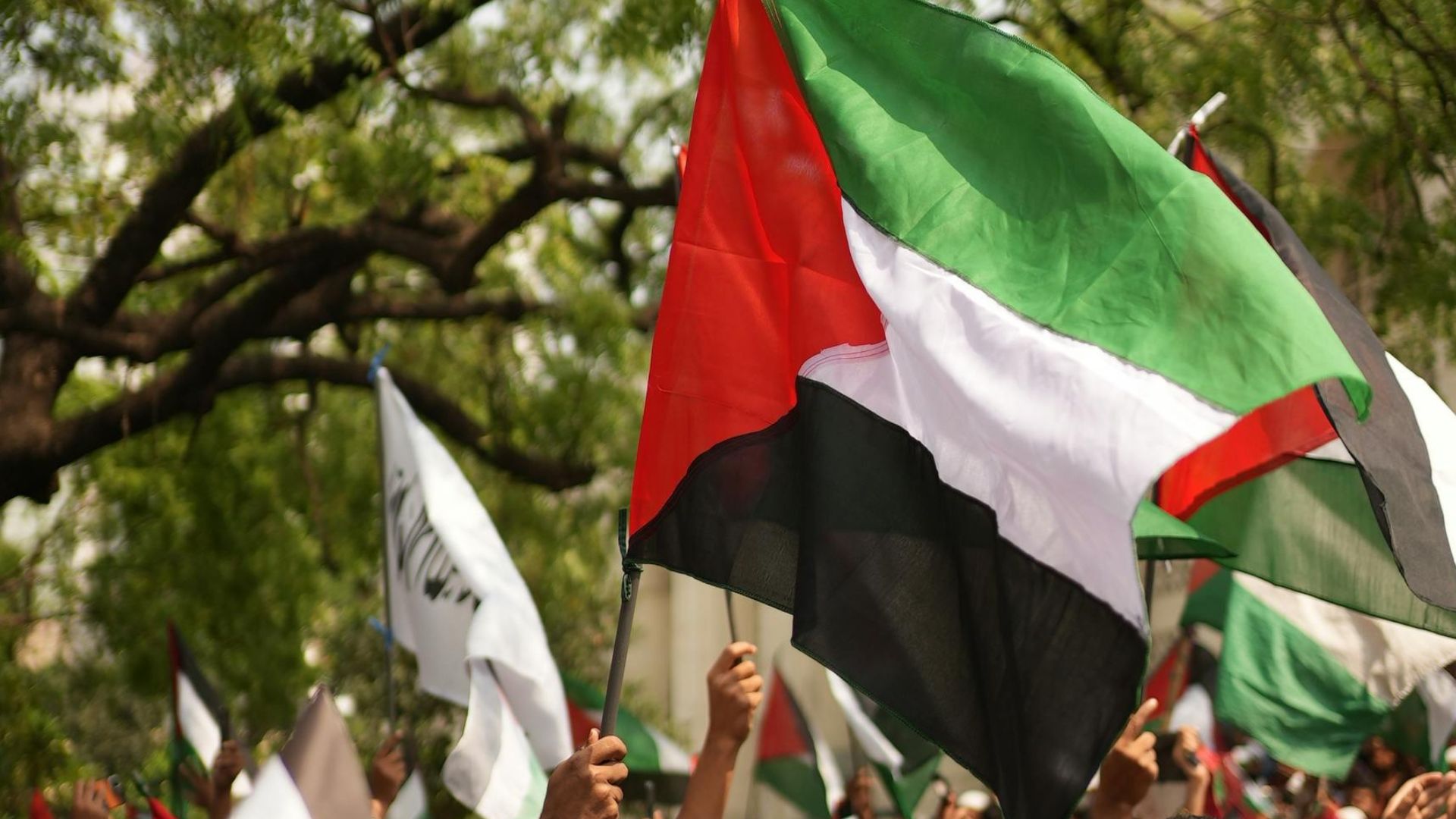 Formație britanică interzisă în Singapore după ce a expus un steag palestinian în timpul unui concert. 2 Formatia britanica interzisa in Singapore dupa ce a expus un steag palestinian in timpul unui concert