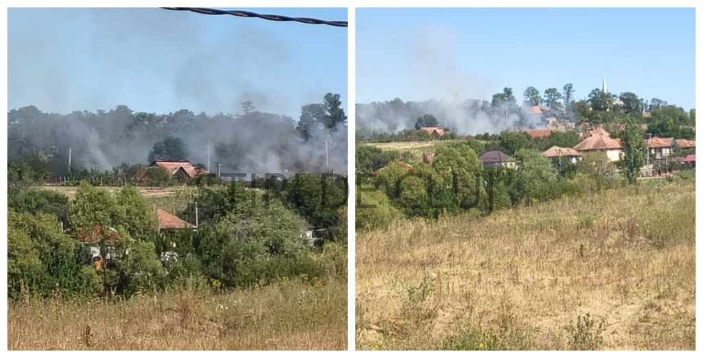 INCENDIU IN CLUJ VEGETATIA USCATA A fost CUPRINSA DE FLACARI IN MIHAIESTI AMENINTAND O CLADIRE ANEXA POMPIERII INTERVIN DE URGENTA