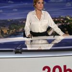 O cunoscut ancor de tiri i d demisia pe fondul candidaturii partenerului su la preedinia Franei