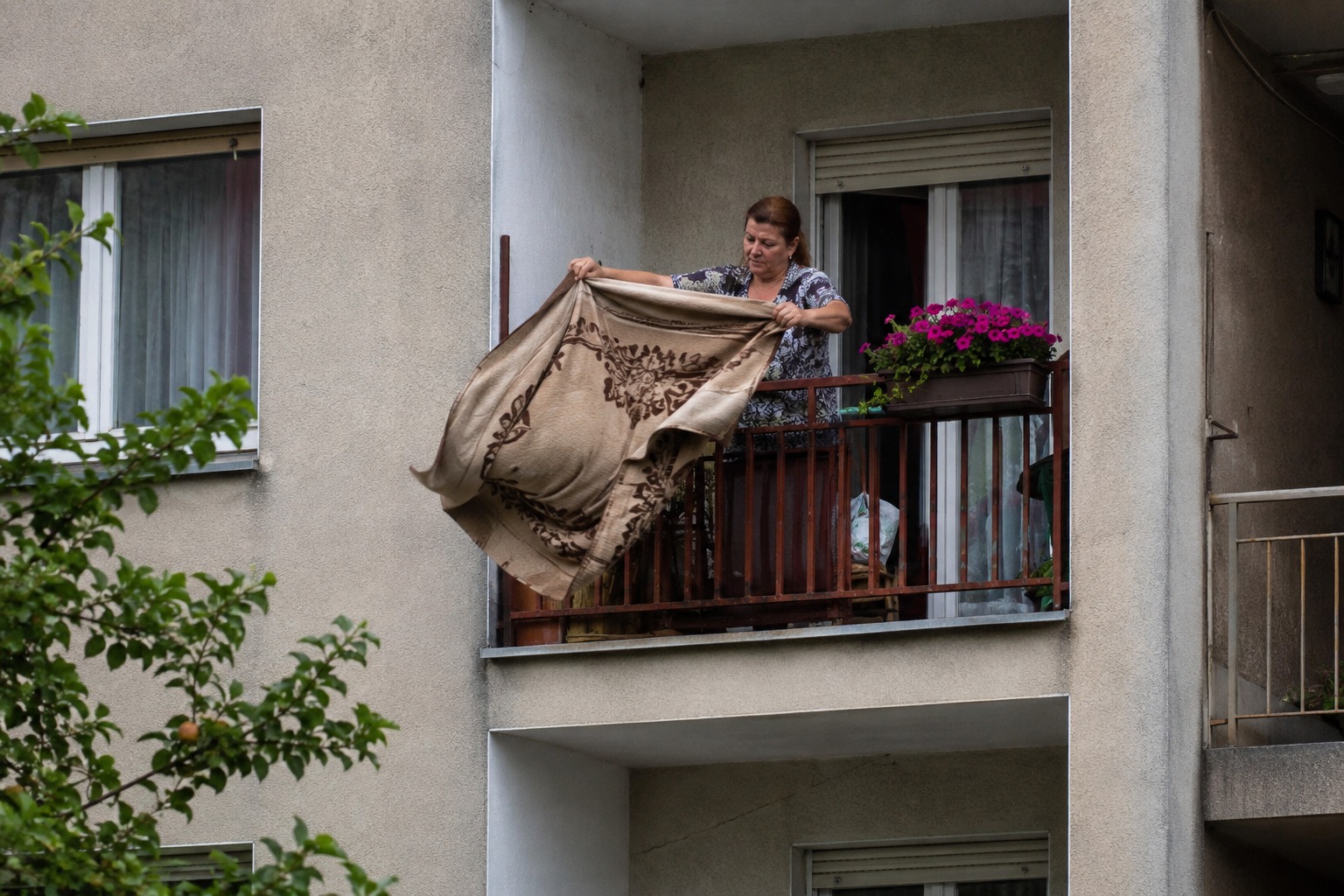 Primaria Cluj Napoca avertizeaza Scuturarea paturilor fetelor de masa sau covoarelor de la balcon este o incalcare si va fi sanctionata