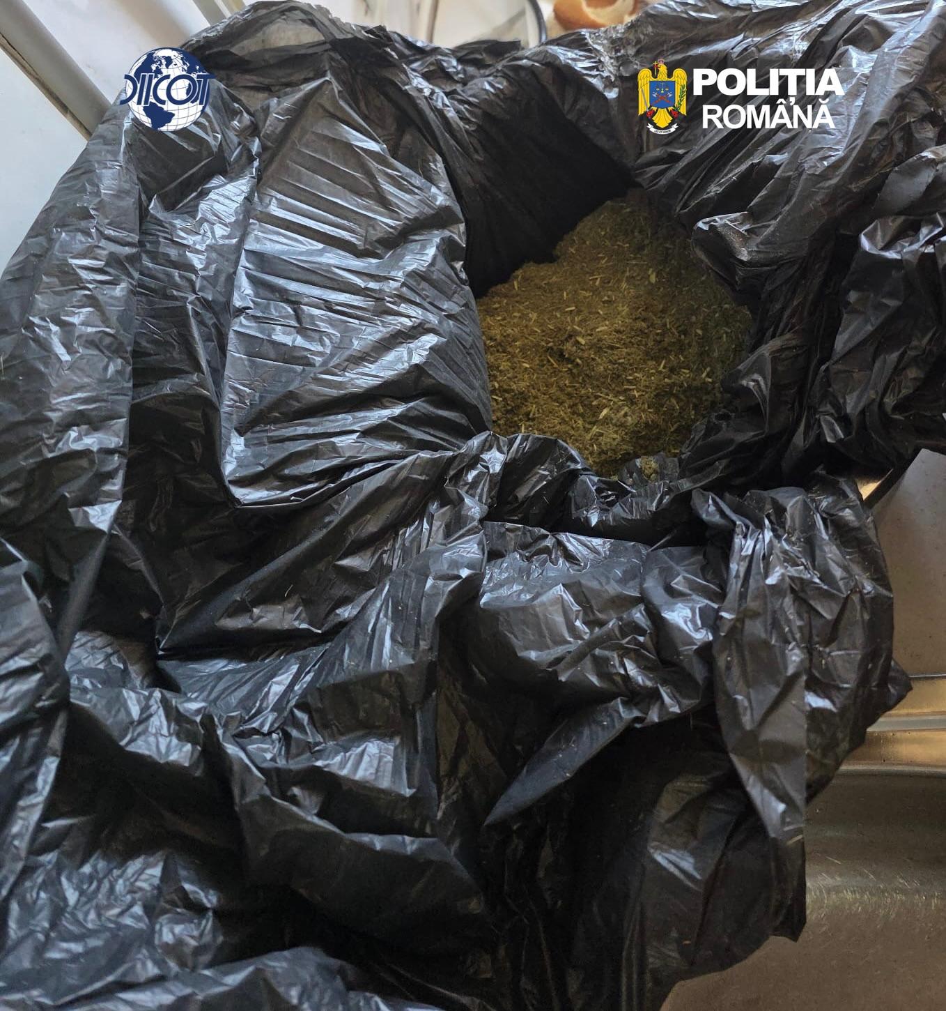 Retea de trafic de droguri coordonata din penitenciar destructurata Sase persoane retinute preventiv