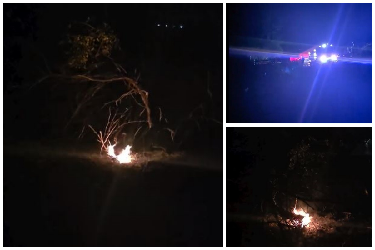 VIDEO Focarele de incendiu au reaparut in livada de pe strada Spicului din Cluj Napoca Locuitorii sunt in alerta Zona dinspre case este in pericol