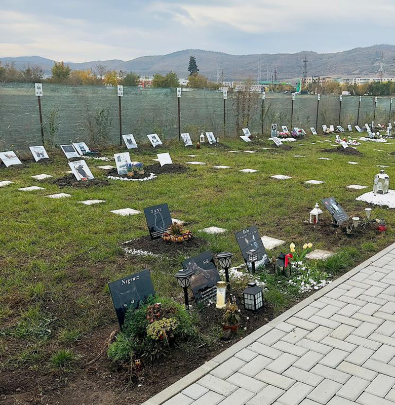 Vesti pozitive pentru iubitorii de animale Primaria a dat aprobat pentru infiintarea unui cimitir dedicat animalelor in Cluj Napoca