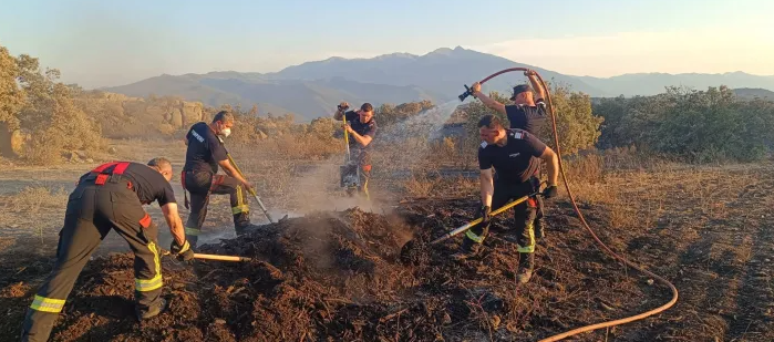 Apel urgent către clujeni: Evitați aprinderea vegetației uscate! Risc crescut de incendii și penalizări severe. 2 apel urgent catre clujeni evitati aprinderea vegetatiei uscate risc crescut de incendii si penalizari severe