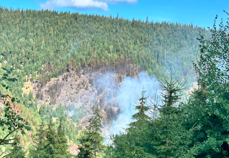 Incendiu de amploare în Cluj! Pompierii se luptă cu flăcările într-o zonă inaccesibilă pentru autospeciale. 2 incendiu de amploare in cluj pompierii se lupta cu flacarile intr o zona inaccesibila pentru autospeciale