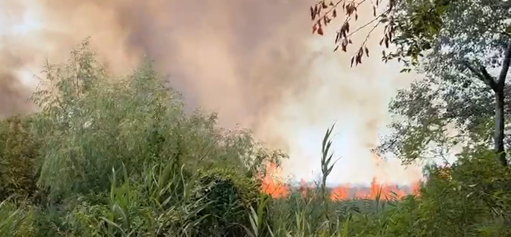 Incendiu devastator în Delta Dunării: 700 de hectare de vegetație uscată și pădure afectate. 4 incendiu devastator in delta dunarii 700 de hectare de vegetatie uscata si padure afectate