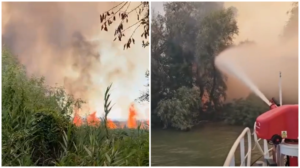 incendiu devastator in delta dunarii exista riscul de extindere catre fondul forestier arafat interventia pe apa este esentiala