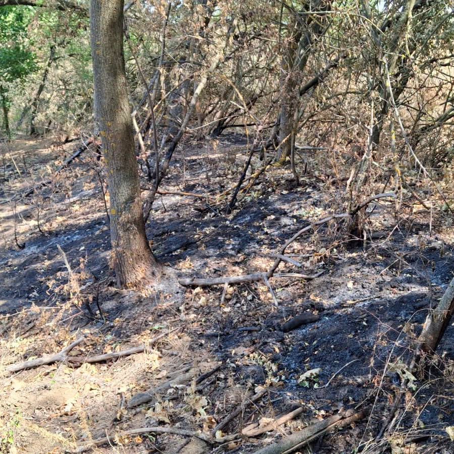 Incendiul subteran care nu se oprea. Autoritățile din Arad pregătesc o soluție originală. 4 incendiul subteran care nu se oprea autoritatile din arad pregatesc o solutie originala