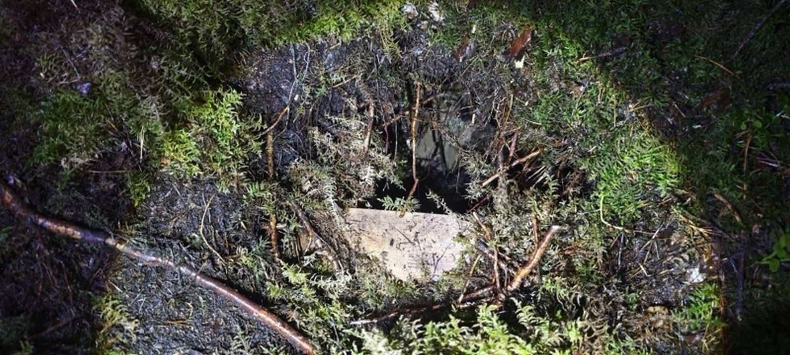 tuneluri sub granita ue 28 de migranti au intrat din belarus in letonia printr un pasaj ascuns in vegetatie