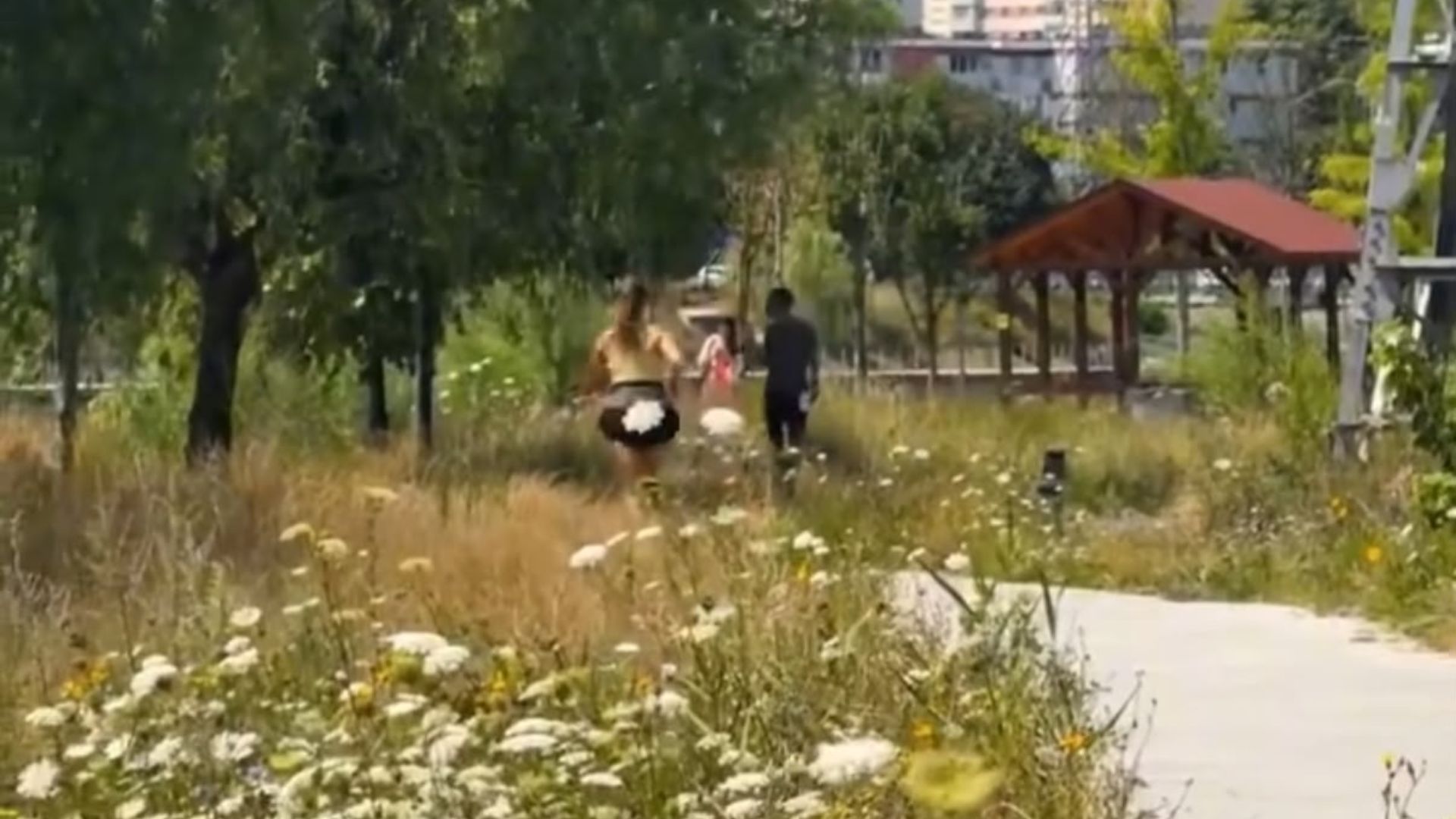 video ntrebarea care a generat tensiuni in randul a mii de clujeni are raspuns de ce nu se taie iarba de pe malul somesului nu se datoreaza lipsei de fonduri