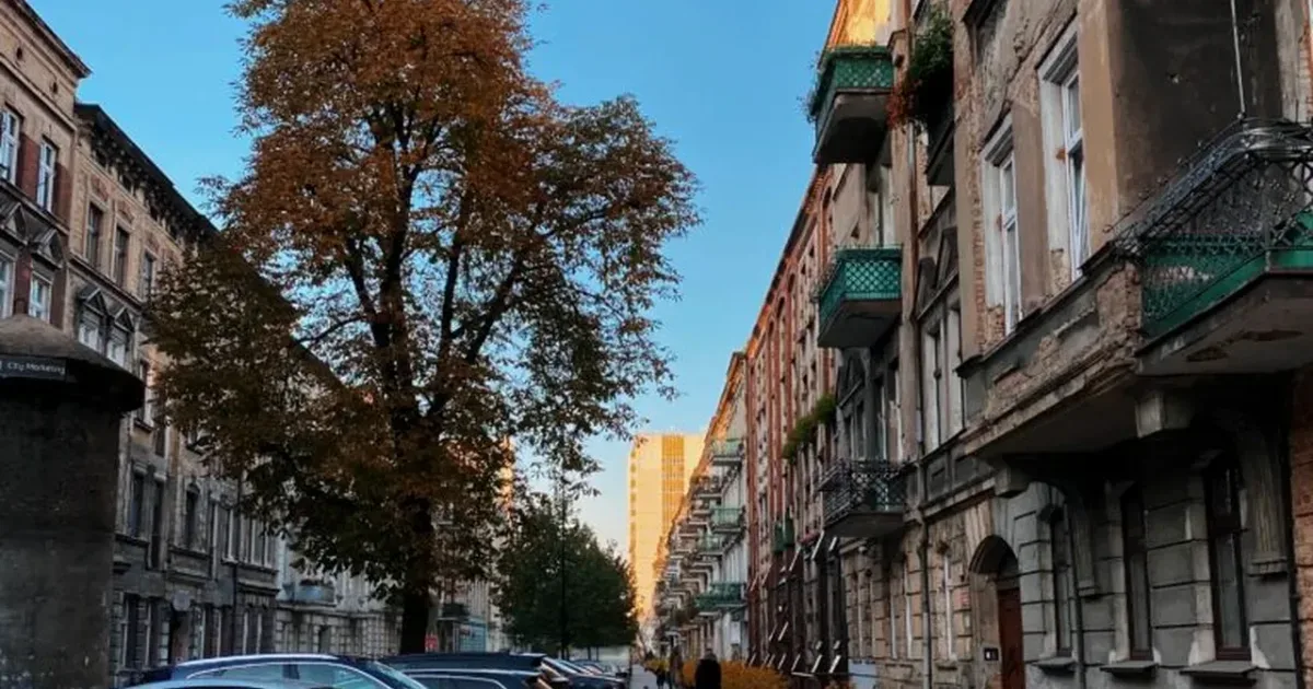 Escrocheria cu numere poloneze a ajuns în România: plăți de 1,3 milioane de euro 2 Escrocheria cu numere poloneze a ajuns în România: plăți de 1,3 milioane de euro